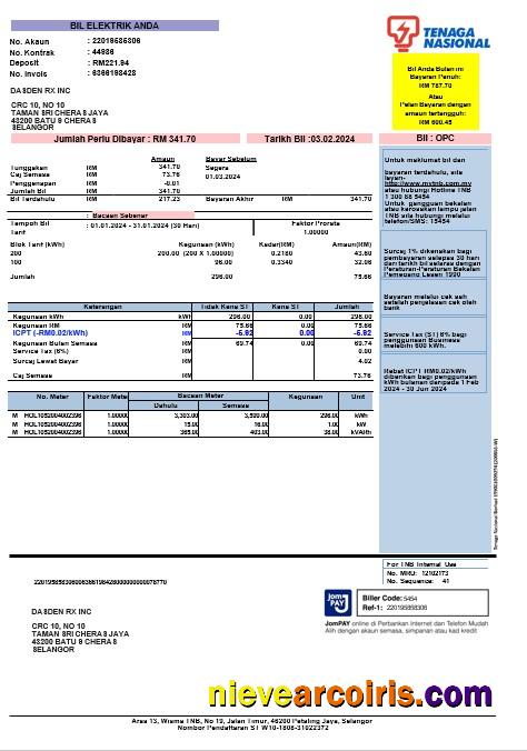 INDIA TENAGA NASIONAL business utility bill